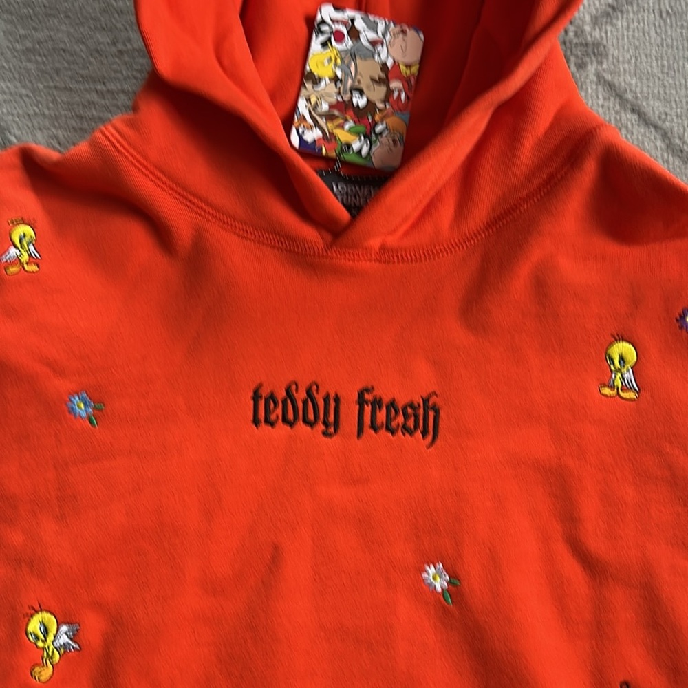 Teddy Fresh Looney Tunes Tweety Bird Embroidered Hoodie - Picture 3 of 8